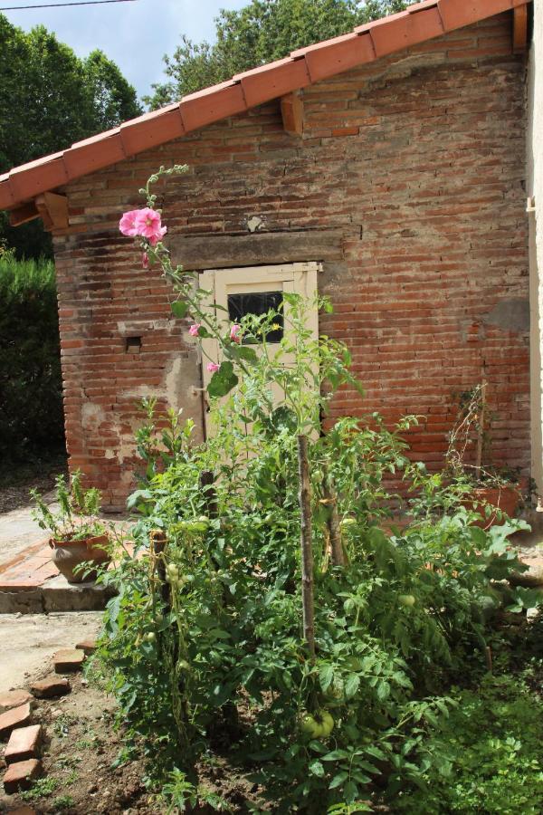 Ferme Aquinaut - Le Paradis Montesquieu-Volvestre Ngoại thất bức ảnh